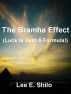The Brahma Effect Report by Lee E. Shilo