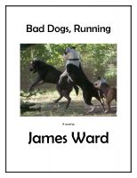 Cover for 'Bad Dogs, Running'