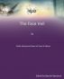The Face Veil by Nassim Benamra