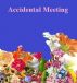 Accidental Meeting by Monica P