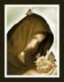 War of Roses by Sihem Hammouda