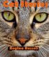 Cat Stories by Regina Russell