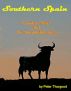 Southern Spain: A Guide to Nerja & the Surrounding Areas by Peter Thurgood