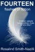 Fourteen Flashes of Fiction by Rosalind Smith-Nazilli