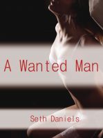 Cover for 'A Wanted Man: An Erotic Threesome Fantasy'