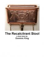 Cover for 'THE RECALCITRANT STOOL'