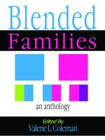 Cover for 'Blended Families An Anthology'