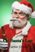 On Santa's Lap by Dana Drake
