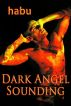 Dark Angel Sounding (A Gay BDSM Erotica) by Habu 