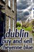 Dublin Buy and Sell by Cheyenne Blue