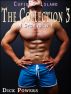 Cupid's Island: The Collection Three '4 Stories in 1' (Gay Erotica) by Dick Powers