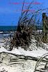 A Cape Cod Love Affair by Thomas Robertson