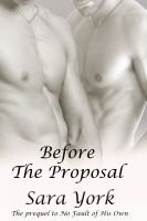 Cover for 'Before The Proposal'