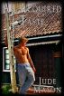An Acquired Taste by Jude Mason