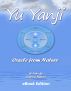 Yu Yanji Oracle from Nature by Andrew Nelson