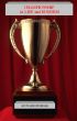 Championship in Life and Business by Howard Ingram