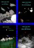 Flight of the Maita Collection 2 by CD Moulton