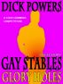 Glory Holes (Gay Stables #1) by D. Powers