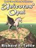 Unicorns' Opal (Sword of Heavens #2) by Richard S. Tuttle