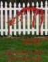 Backyard Zombies by Stephanie Rabig