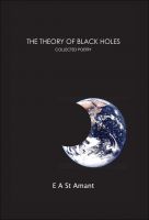 Cover for 'The Theory of Black Holes'
