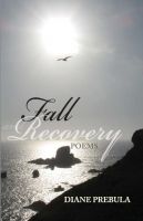 Cover for 'Fall and Recovery'