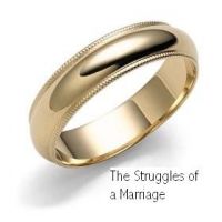 Cover for 'The Struggles of a Marriage'
