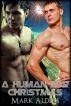 A Human for Christmas by Mark Alders