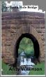 The Tenth Hole Bridge by Andy Wilkinson