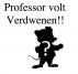 Professor Volt verdwenen by Maarten Eyskens