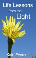 Cover for 'Life Lessons from the Light'