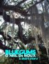 Bluegums (Lucien Caye Private Eye Story) by O'Neil De Noux