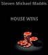 House Wins by Steven Michael Maddis