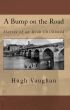 A Bump on the Road by Hugh Vaughan