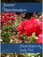 Cover for 'Junior Matchmakers'