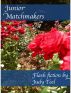 Junior Matchmakers by Judy Mills