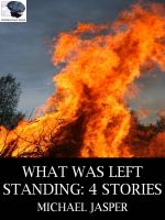 Cover for 'What Was Left Standing: Four Stories'