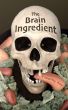 The Brain Ingredient by Timothy Kay