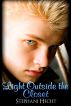 Light Outside the Closet by Stephani Hecht