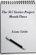 The 365 Stories Project Month Three by Liane Little