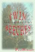 Twin Beeches -- An Illinois Love Story by Paul Schoaff