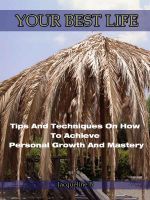 Cover for 'YOUR BEST LIFE-Tips And Techniques On How To Achieve Personal Growth And Mastery'