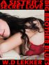 Big Brother Blues: A Sister's Secret Love by W.D. Lekker