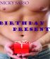 Birthday Present - Erotic story by Nicky Sasso