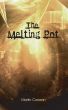 The Melting Pot by Martin Cororan