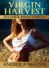 Virgin Harvest: Solstice Seduction #3 by Angelica Masten