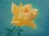 Yellow Promise by Amy Richie