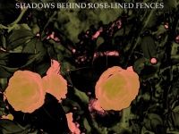 Cover for 'Shadows Behind Rose-Lined Fences'
