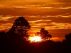 Life And Thoughts of A Warrior -- The Path of Fire! by Abhijit Kar