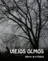 Viejos olmos by Alberto de la Madrid